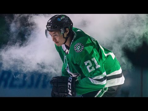 Jason Robertson Highlights HD