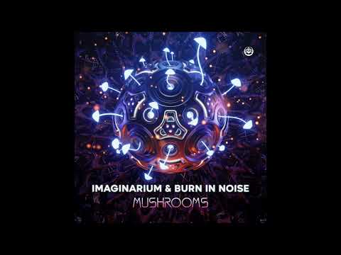 Imaginarium & Burn In Noise - Mushrooms