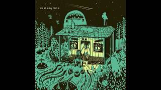 wastemytime - whom it may concern