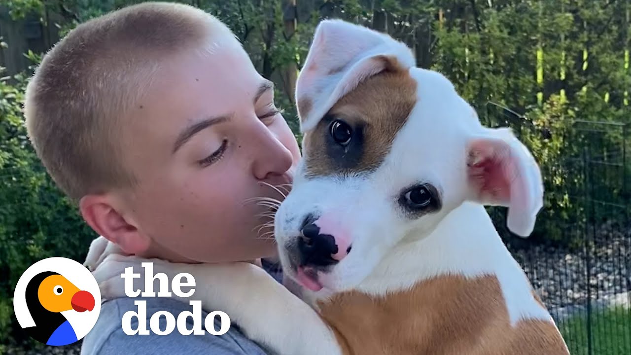 Meet the 12-Year-Old Saving Thousands of Shelter Dogs | The Dodo