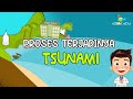 IPA FISIKA : Proses Terjadinya Tsunami (Gelombang Sunami)