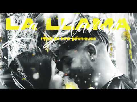 marek - la llama