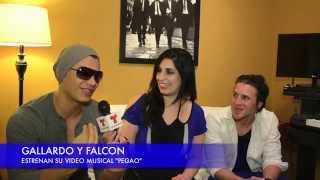 Gallardo y Falcon