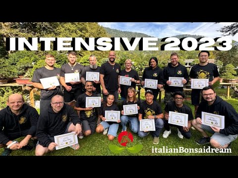 Intensive 2023 BonsaiDream