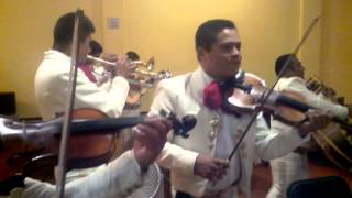 preview picture of video 'mariachi los arrieros de MDPG poniendo ambiente en tus fiestas...'