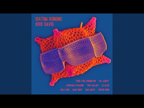 Reflections (feat. JD Allen & Tony Malaby)