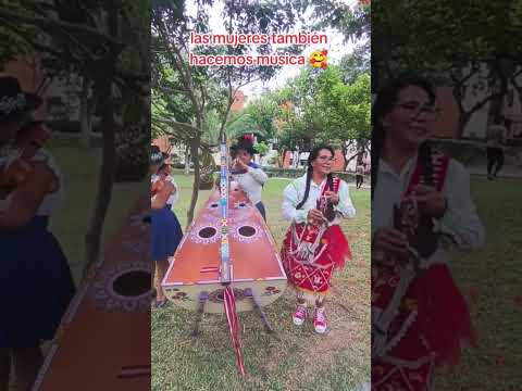 🟢🚩 Ayacucho | Rica Jarana con Arpita y Violín 🌺🤠❤️🎉 #ayacucho #vilcashuaman #arpayviolin #toril
