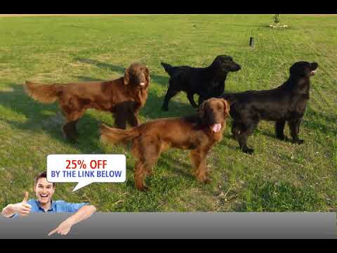 B&B Al Vecchio Confine, Cervignano del Friuli, Italy review