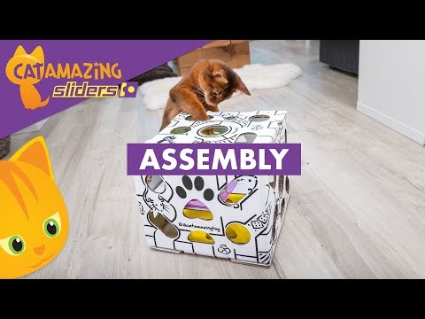 Cat Amazing SLIDERS Assembly – NEW VERSION