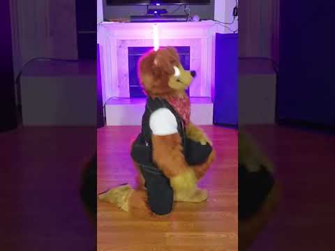 JD Puppy  - Enhypen Fatal Trouble