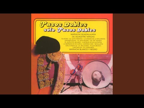 La morena de mi copla