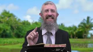 מסכת בבא מציעא דף קיא - 8 דקות של לומדות ועמקות בדרך הלימוד הישיבתית [bava metsia 111]