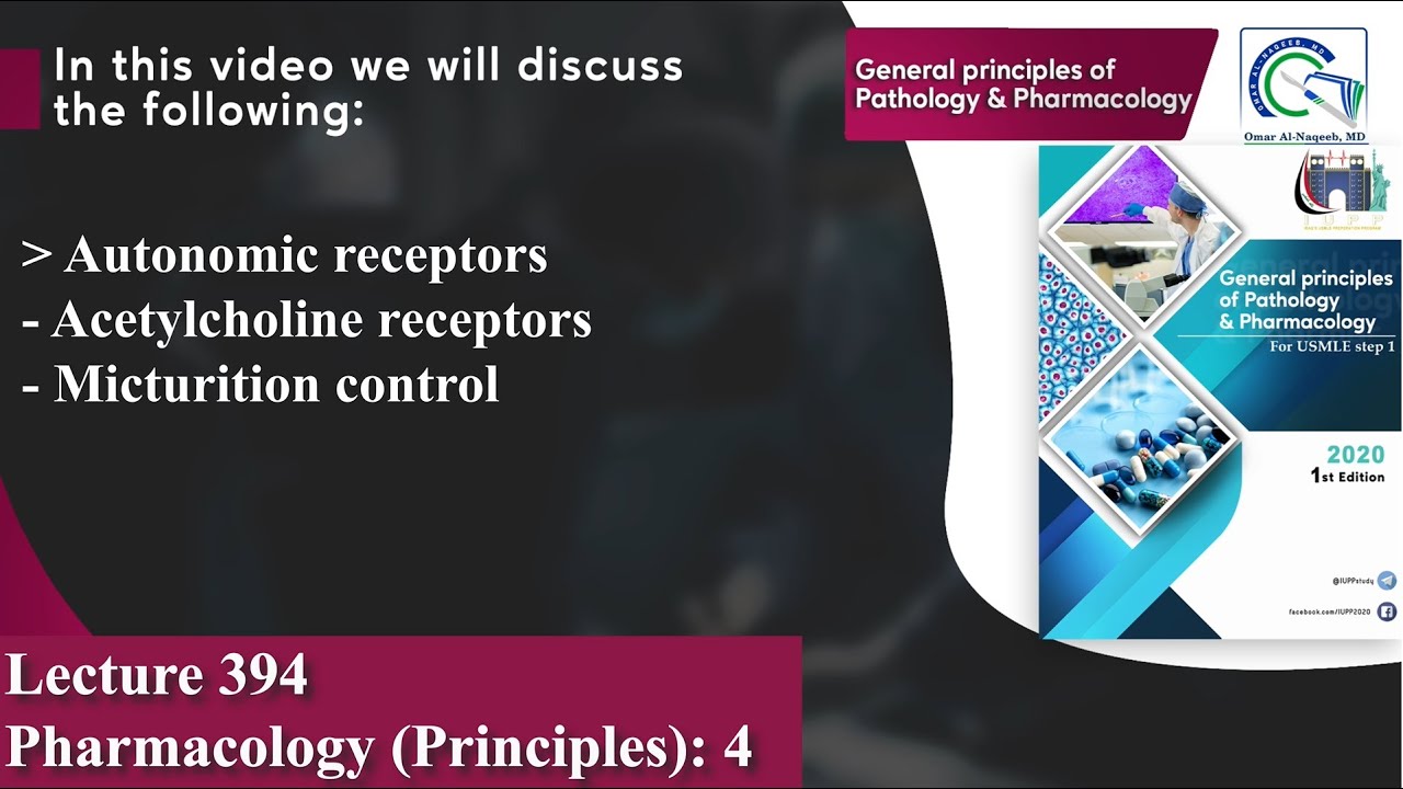 Autonomic receptors | Acetylcholine receptors | Micturition control