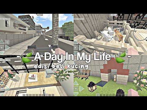 Unleashing Adventures in Minecraft: A Day filled with Cats & Fun 🐈❤️