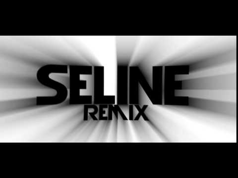 Seline Remix