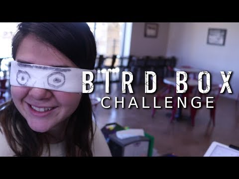 Thumbnail for WE DID THE BIRD BOX CHALLENGE!!! [Vlog #12] by The Detroit Emeralds