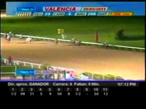 Resumen Viernes, 20 de Mayo de 2011 - Valencia