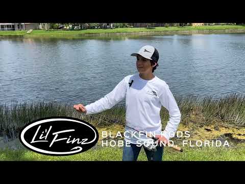 Blackfin intro...