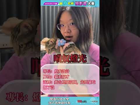 流行音樂創作系的各種標籤