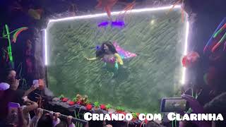 Sereia de verdade nadando no aqurio de So Paulo