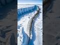Antarctica Continent Facts Shorts Antarctica Facts