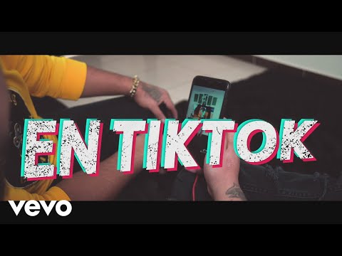 Wuiinpic - En TikTok (feat. Oveja Negra)