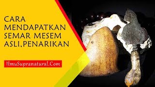 Download lagu Cara Mendapatkan Semar Mesem Asli,,Inilah Langkah Cara Penarikanya mp3