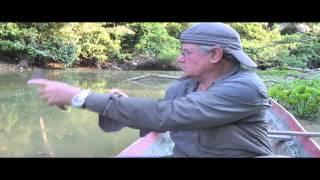 Amazon Adventures, Piranhas and Pink Dolphins