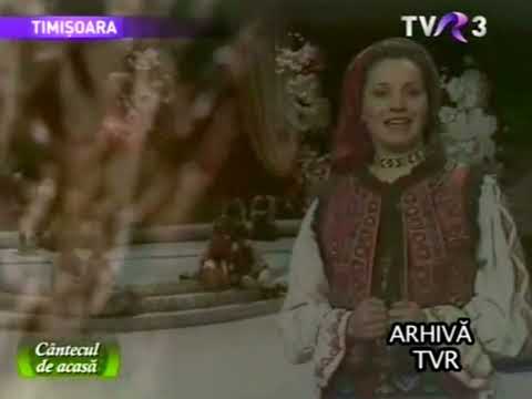 Ana Munteanu - Trandafir cu creanga-n apa ( Arhiva )