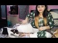 OMG Ye Kya Kar Diya Pura Gila Kar Diya Panda Ne Mujhe Susu Kar Ke