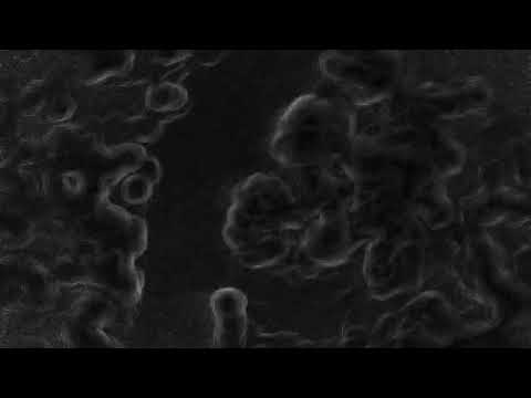 CTAFAD - System (Music Video)