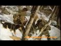 Tiger Hunting in Siberia, Rare Footage 