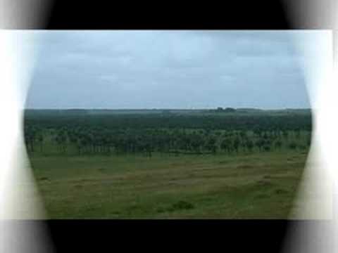 download lagu mp3 mp4 Palmares Del Uruguay, download lagu Palmares Del Uruguay gratis, unduh video klip Palmares Del Uruguay