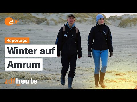 Off-Season auf Amrum: Leere Strände – und viel Arbeit für die Insulaner | ZDF.reportage
