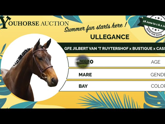 Ullegance homevideo