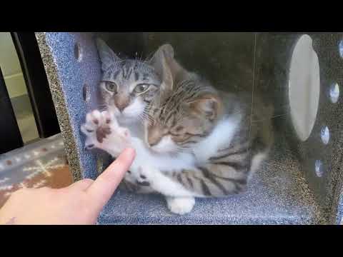 Alka Seltzer & Nyquil