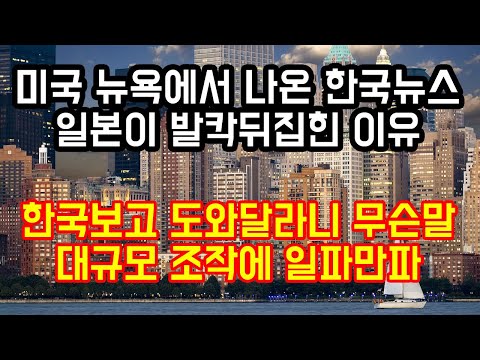 "한국보고 도와달라니 무슨? 대규모 조작에 일파만파"