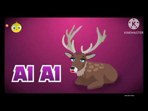 Pollito pio Remix el COMPLETO?