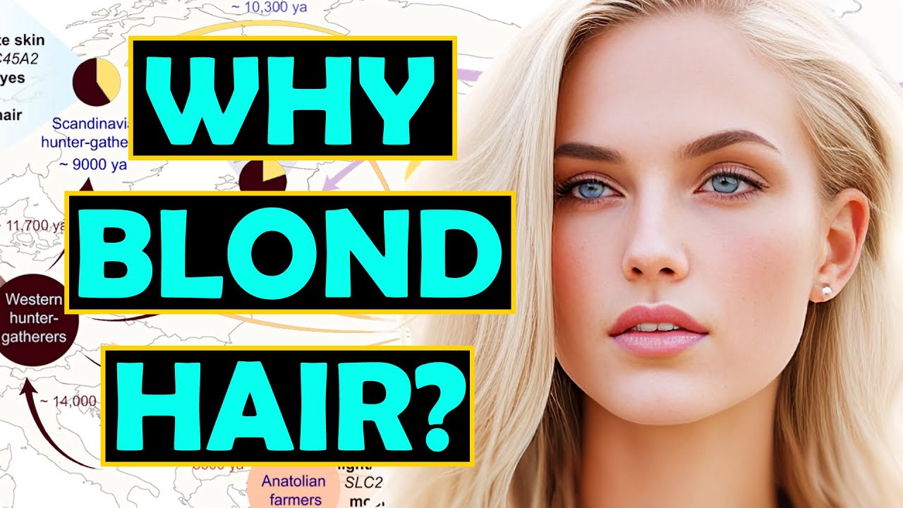 What is the Origin and Reason for Blond Hair?
