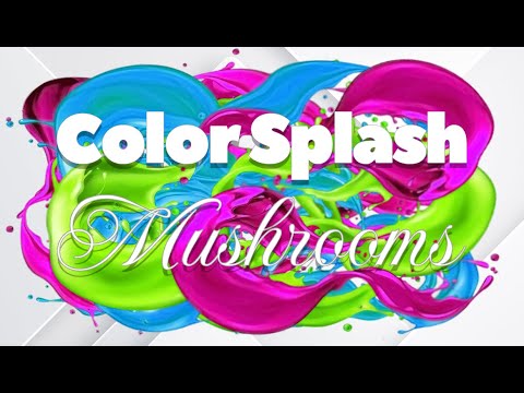 Color Splash: Mushrooms Steam Key Global Trailer