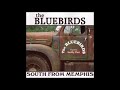 Bluebird -  Say Yeah