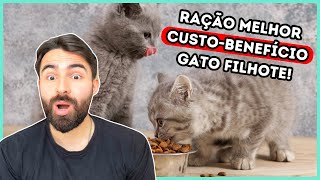 As Rações Com Melhor CUSTO-BENEFÍCIO Para Gato FILHOTE!