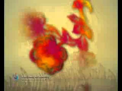 THE ONE ACADEMY: Motion Graphics: Channel V - Happy Chinese New Year