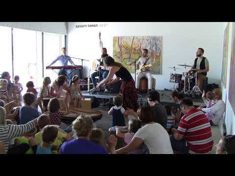 Hangszersimogató A38 - Magyar Zene Háza