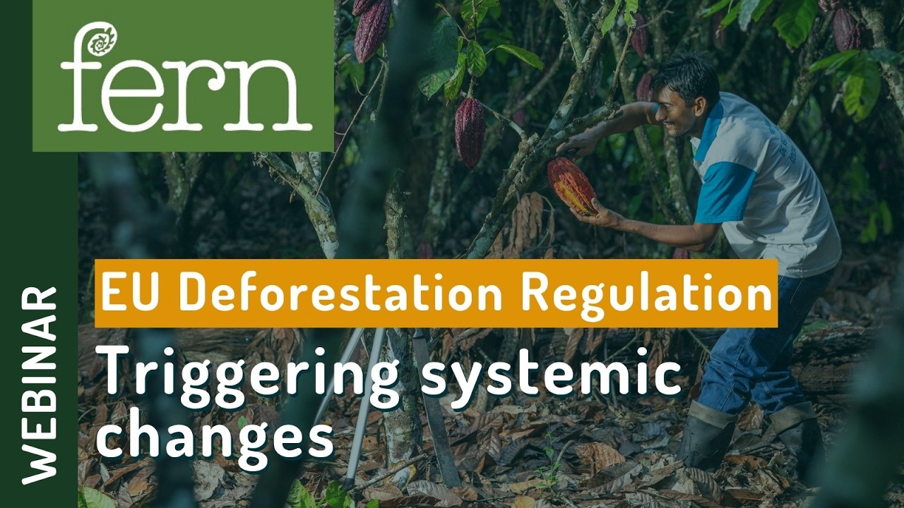 EUDR: triggering systemic changes