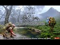 අවාරේ සිරිපා | Off season Sripada hiking | දෙහෙනකන්ද මූක්කුවත්