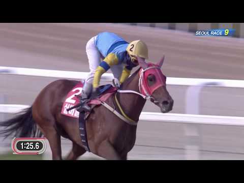 190602 Seoul Race 9 Ttukseom Cup(GII)