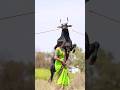Karuppan Kaalaiyin Kadhali Reaction Jallikattu Kangeyam Kangeyam