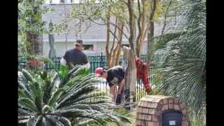 preview picture of video 'Pass Christian Tree Services, tree removal, tree pruning, debris haul away, clean up'