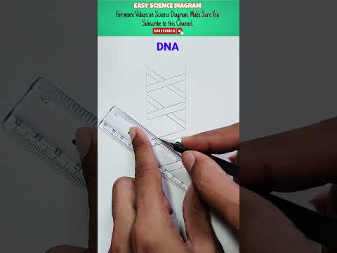 How to draw double DNA  helix Diagram #DNA #helixdiagram #sciencediagram